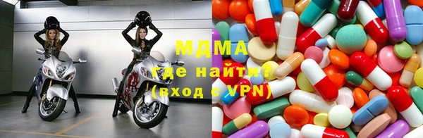 шишки Ельня