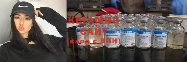 шишки Ельня