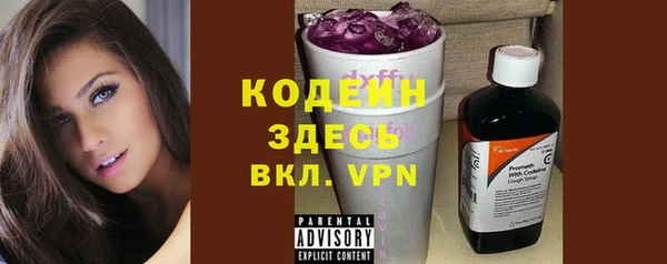 амф Гусиноозёрск