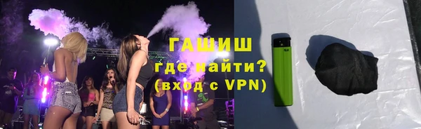 прущие грибы Елизово