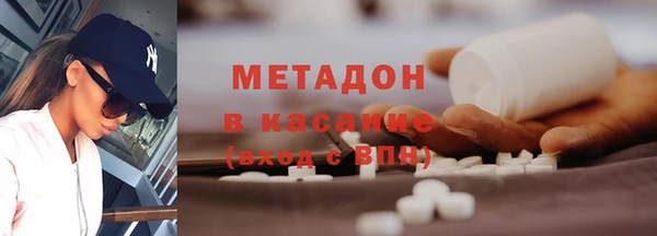 прущие грибы Елизово