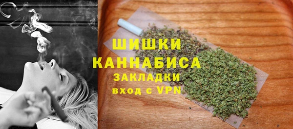 шишки Ельня