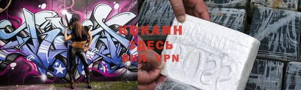 шишки Ельня