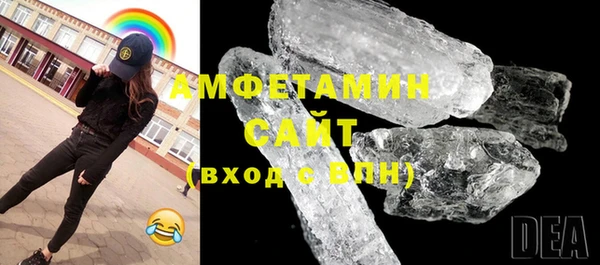 шишки Ельня