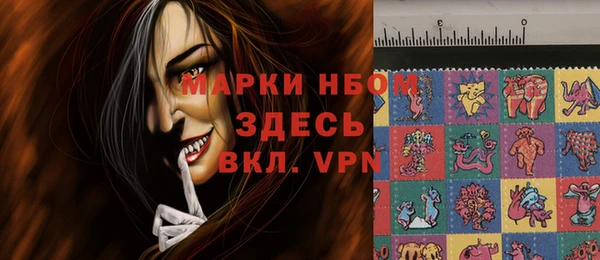 шишки Ельня