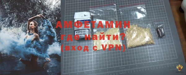 прущие грибы Елизово