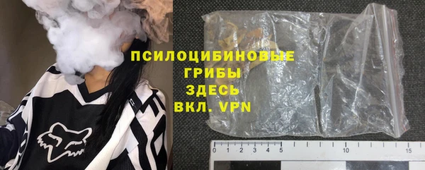 прущие грибы Елизово