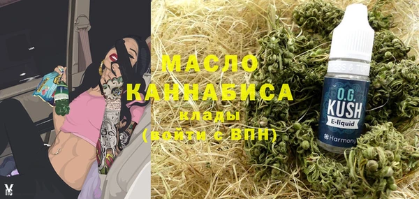 шишки Ельня