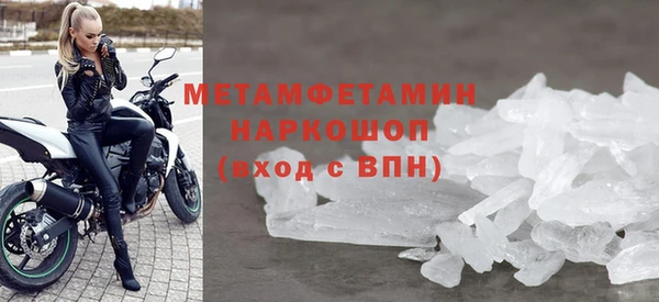 прущие грибы Елизово