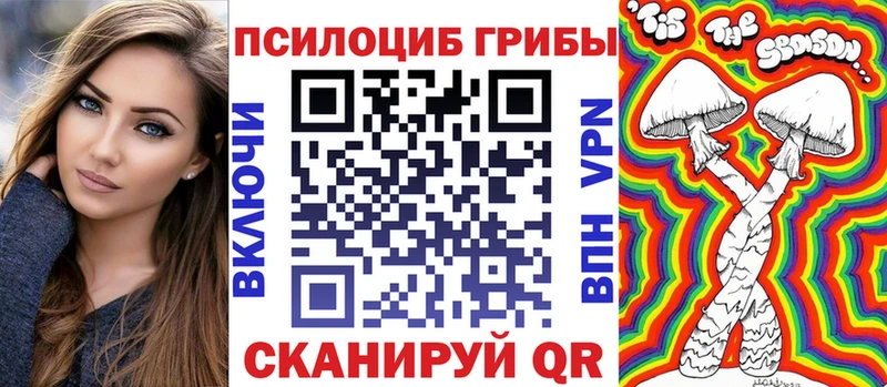 Галлюциногенные грибы Psilocybe  гидра рабочий сайт  Кисловодск 